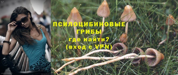 соль курить ск Нея