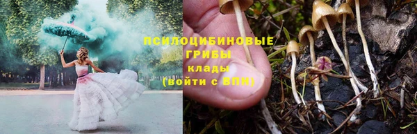 соль курить ск Нея