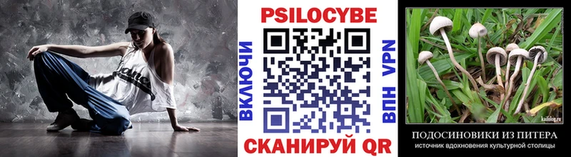 Галлюциногенные грибы Psilocybine cubensis  площадка формула  Таганрог  где можно купить наркотик 