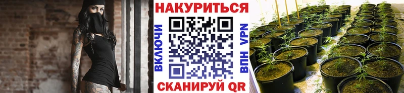 МАРИХУАНА сатива  хочу наркоту  Таганрог 